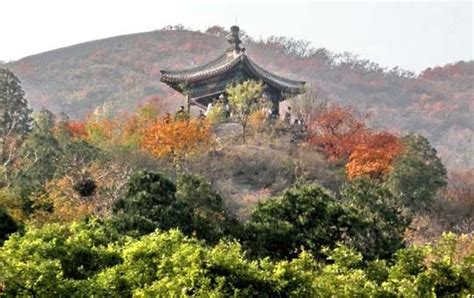 泰山 香山 哪個累